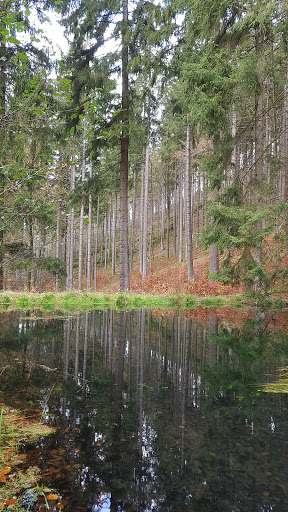 Walchstal-Teich - Visual