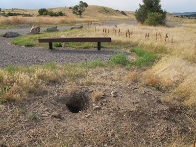 Greycliff Prairie Dog Town State Park