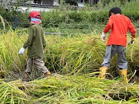 ASOBI Lab. 体験学習型学童スクール