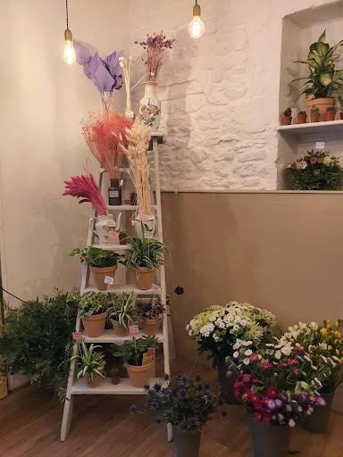 Luce Louison - Fleuriste - Thumbnail