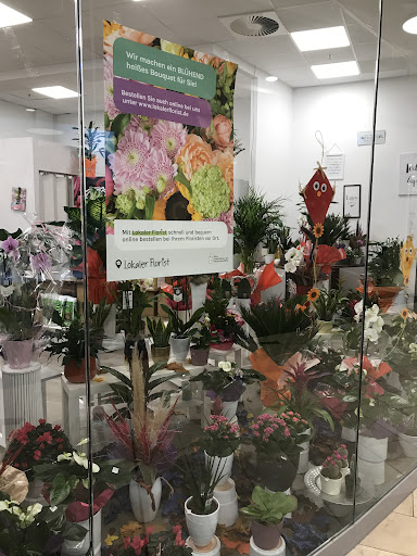 Blumenparadies - Visual