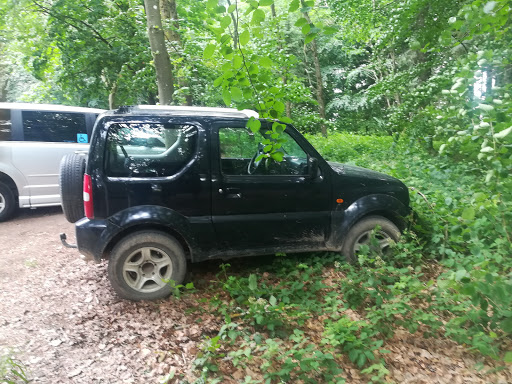 Parkplatz Rhododendron - Thumbnail