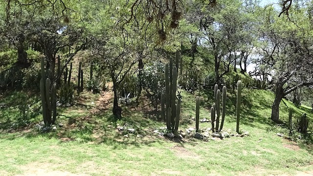 Archaeological Zone of Zaachila