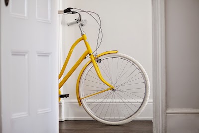 Photos of Ray White Rosebud