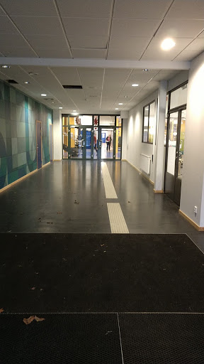 Small Dalslundschool - Visual