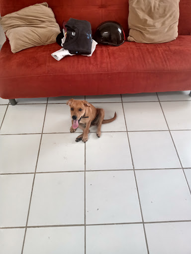 FERRETERIA CHUCHO - Thumbnail