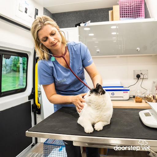 Doorstep Vet - Thumbnail