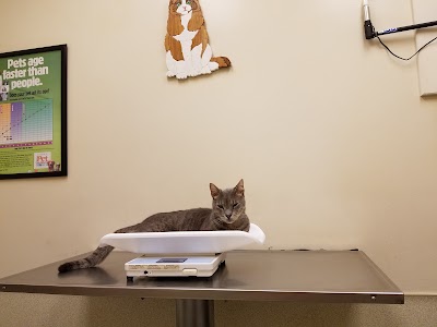 Photos of James Island Veterinary Hospital