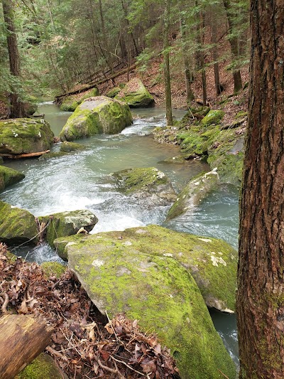 Holmes Chapel Falls