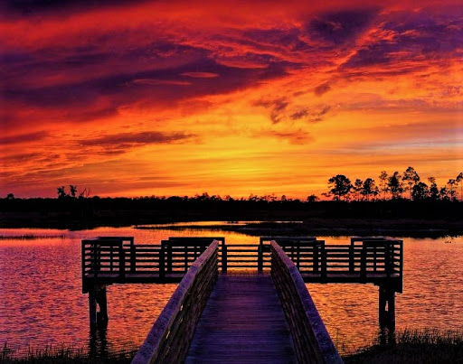 SandPeak Realty - 2020 Brokerage of the Year - Locations in Pasco and Hernando - Thumbnail