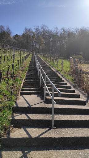 Treppen im Weinberg - Thumbnail