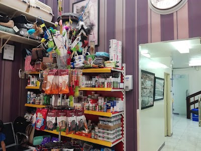 Photos of سوق الطيور والاسماك المينا