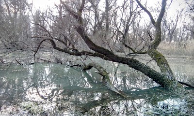 Photos of V&aacute;c-Als&oacute;v&aacute;ros