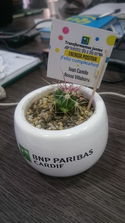 Photos of Cardif Seguros Generales S.A.