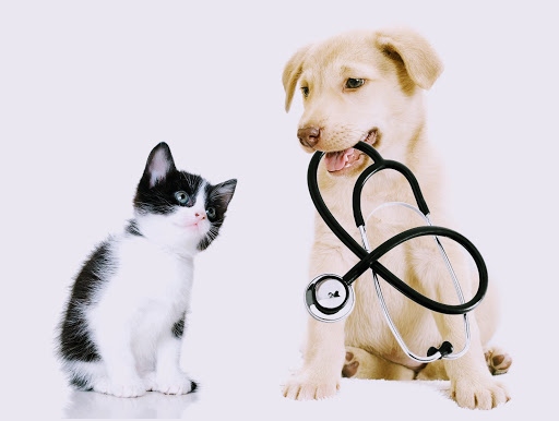 Dr. Popui Centro Medico Animal