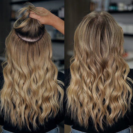 Haironomy - Visual