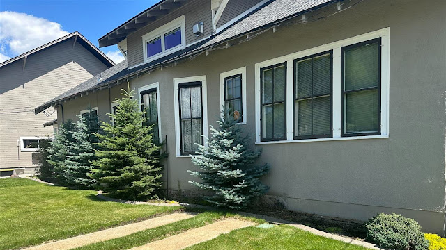 Windog Cleaning Services