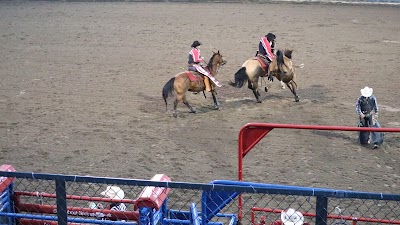 Steamboat Pro Rodeo