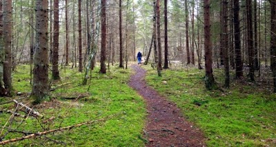 Photos of Tammsaare - Kodru raba - J&auml;rva-Madise matkarada