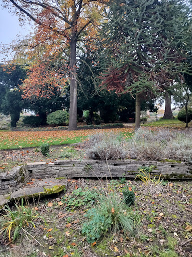 Natural Balance Holistics