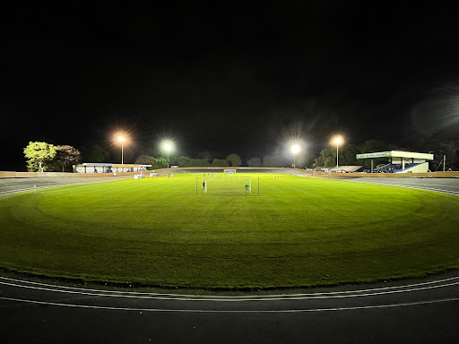 Newcastle Town FC Logo