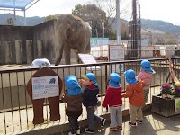 大津市認可 家庭的保育室かもめ