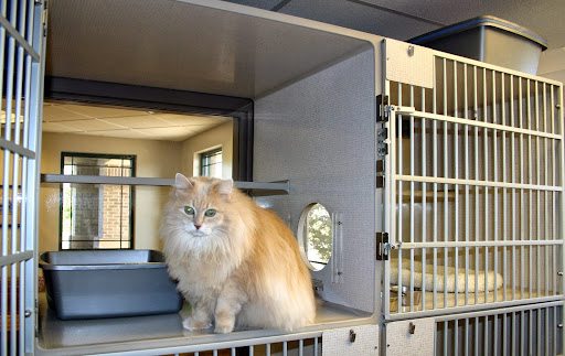 Hawthorne Animal Hospital, Ltd - Thumbnail