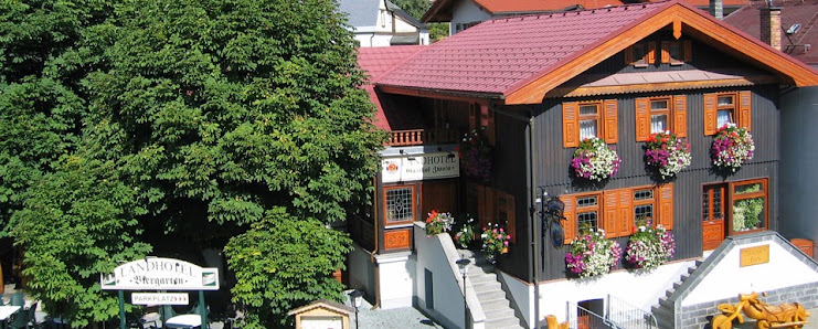 Landhotel Gasthof Zwota - Zwota