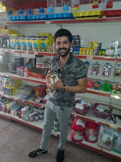 ZELİŞ PET SHOP