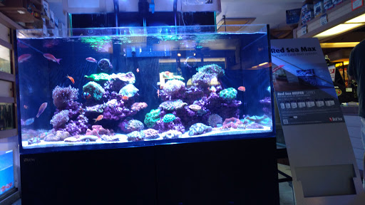 Aquarium City - Thumbnail