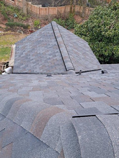 Evergreen State Roofing - Thumbnail