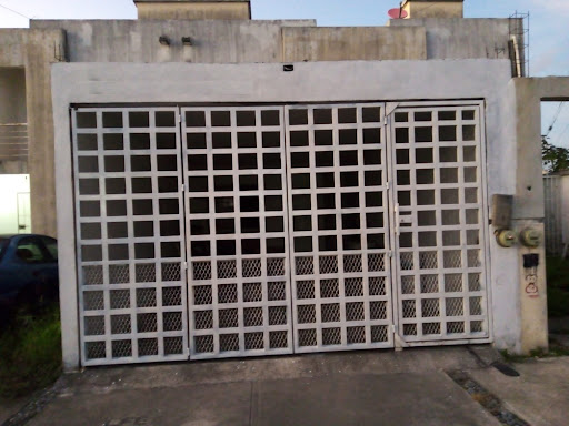 Biomagnetismo y Medicina Natural