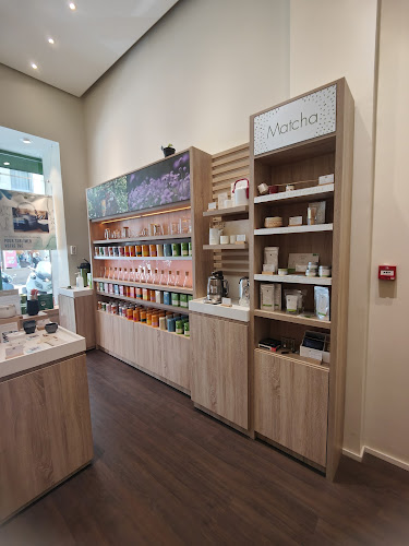 Palais des Thés - Cannes