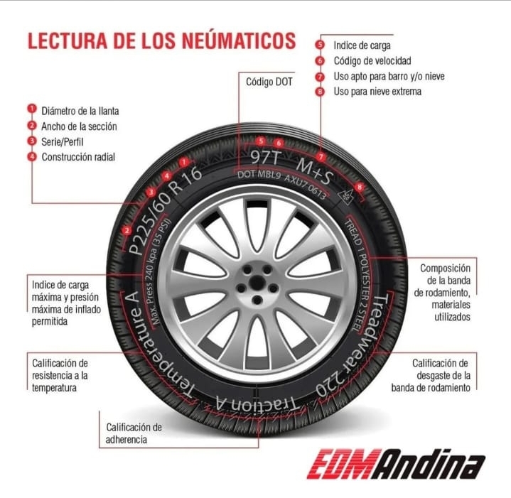 OCAMPO NEUMATICOS