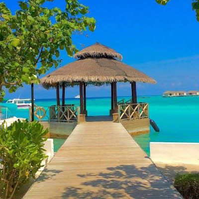 Photos of MILLESIME VOYAGES