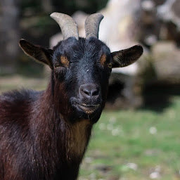 Photo n°16 de Camping Morbihan - Camping Au Gré des Vents à Rochefort-en-Terre à Rochefort-en-Terre (Snack)