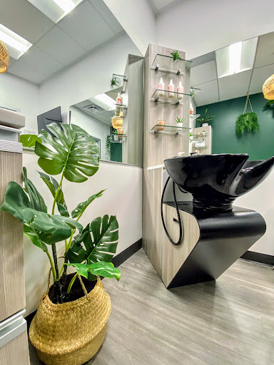 Le Blush Studio - Thumbnail