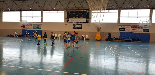 pabellon-municipal