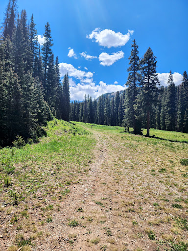 Sierra Club Loop Trailhead - Thumbnail