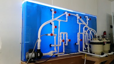 Dream Marine Aquarium Services