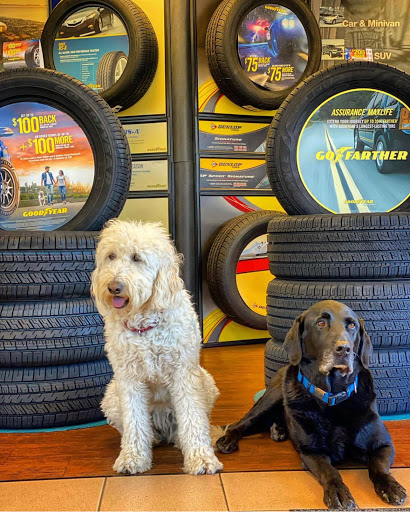 Quality Tire & Auto Gallery - United States