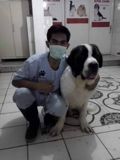 veterinary-care