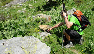Photo n°20 de Refuge du Vieux Bourg, Chambres d'hôtes Parc Naturel massif des Bauges à Le Châtelard (École de photographie)