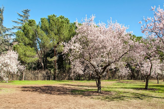 Parque Quinta De Los Molinos