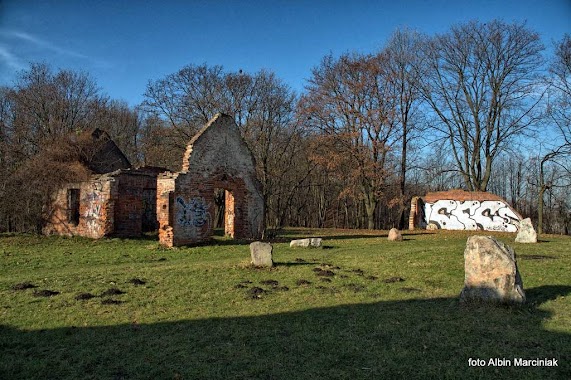 Ruiny obiektów obozowych, Author: Albin Marciniak