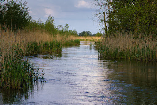 Naturfachkundliche Führungen - Naturkundezentrum Spreeaue e. V.