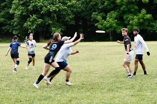 Edgely Ultimate Fields - Visual