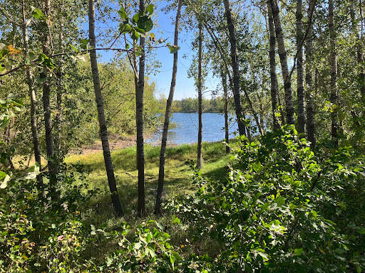 Carburn Park Loop - Visual
