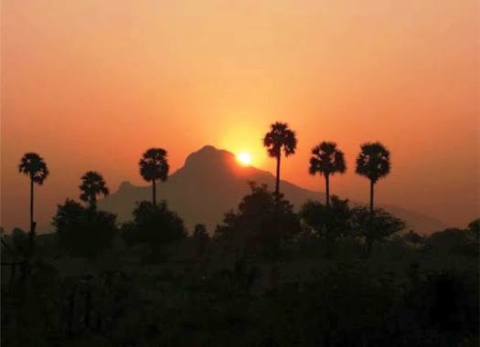 Yoga y Terapias Arunachala, Author: Yoga y Terapias Arunachala