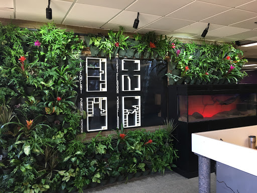MSU-Center for Innovation & Entrepreneurship - Thumbnail